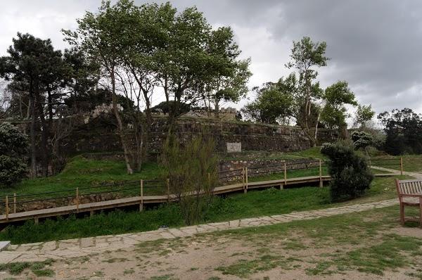 Imagen 27 Mamá Pato foto