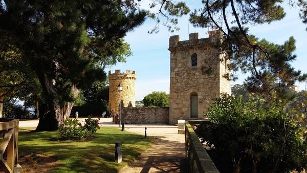 Imagen 28 Mamá Pato foto