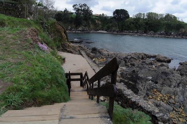 Imagen 29 Mamá Pato foto