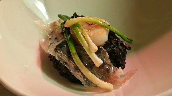 Imagen 20 Netsky Tecnology foto