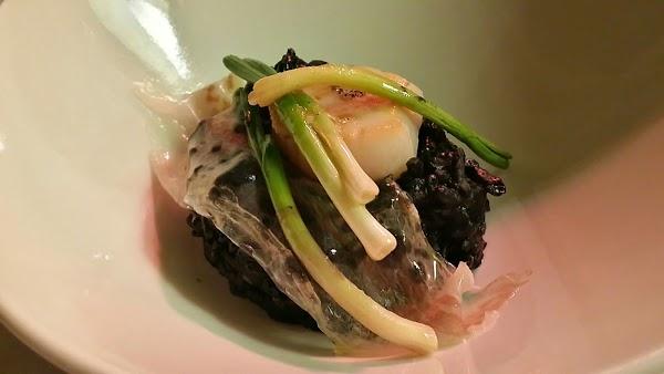 Imagen 37 Netsky Tecnology foto