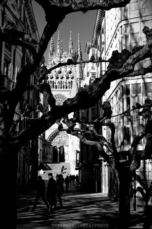 Imagen 108 Happy Hostal Carrales foto