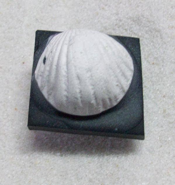 Imagen 12 Droiders foto