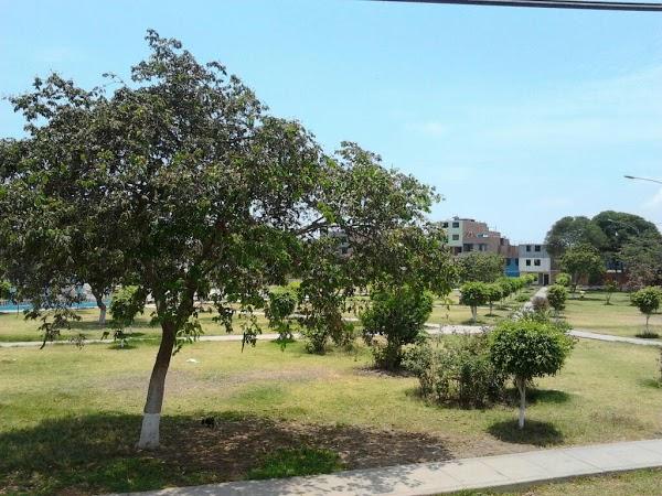 Imagen 2 Steren Shop Plaza El Dorado foto