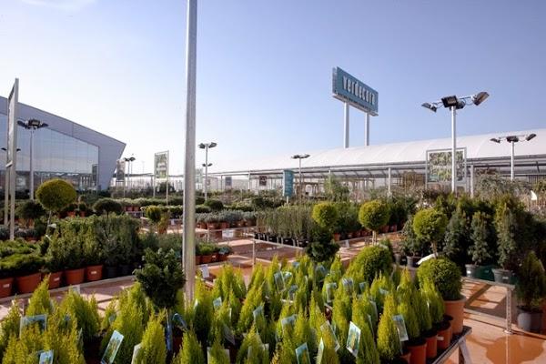 Imagen 12 Steren Shop Plaza El Dorado foto