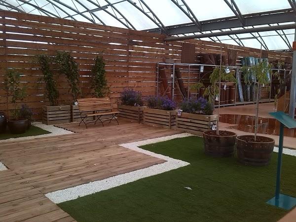 Imagen 13 Steren Shop Plaza El Dorado foto