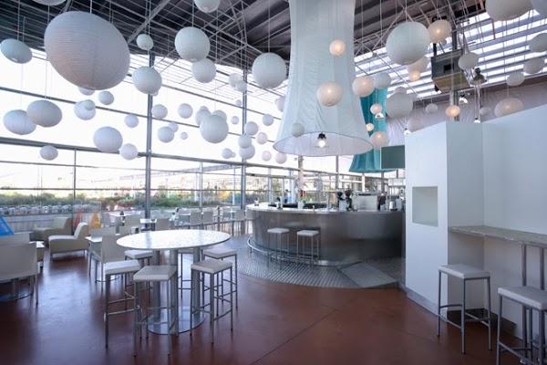 Imagen 14 Steren Shop Plaza El Dorado foto