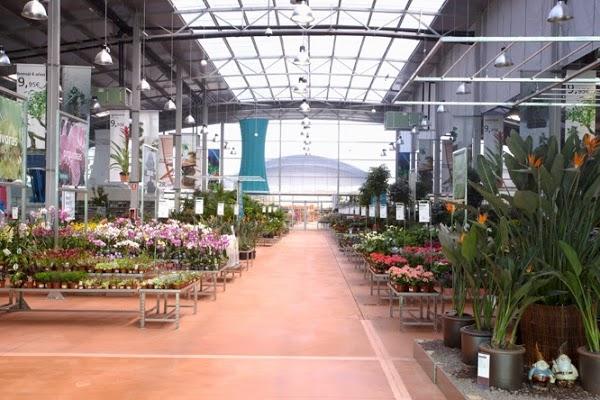 Imagen 9 Steren Shop Plaza El Dorado foto