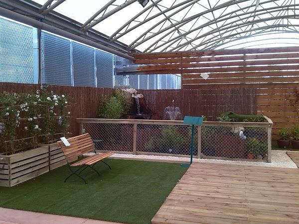 Imagen 10 Steren Shop Plaza El Dorado foto