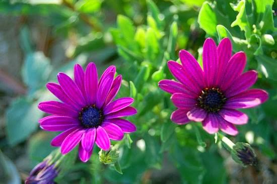 Imagen 1 Centro Salud Sierra de Guadarrama foto