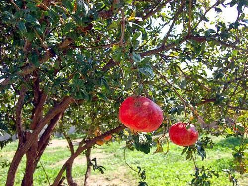 Imagen 2 Centro Salud Sierra de Guadarrama foto