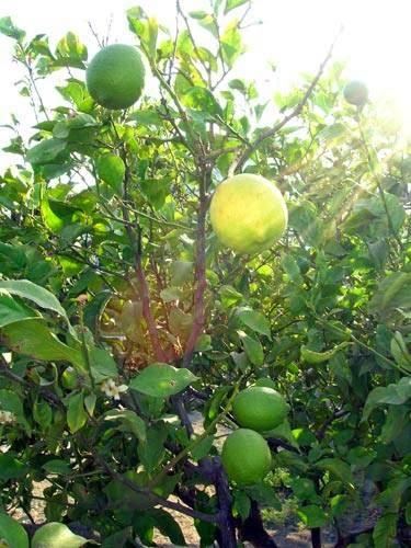 Imagen 4 Centro Salud Sierra de Guadarrama foto