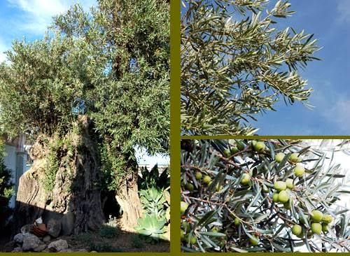 Imagen 5 Centro Salud Sierra de Guadarrama foto