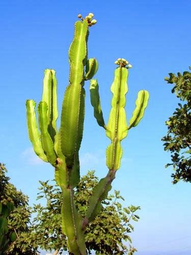 Imagen 6 Centro Salud Sierra de Guadarrama foto
