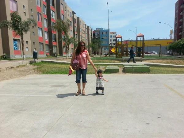 Imagen 2 Gestionadora de Inmuebles Bolivar Peña foto