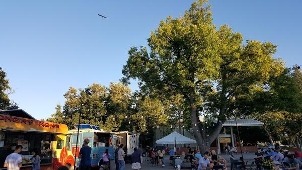 Imagen 37 Centro Cultural Sara Montiel foto