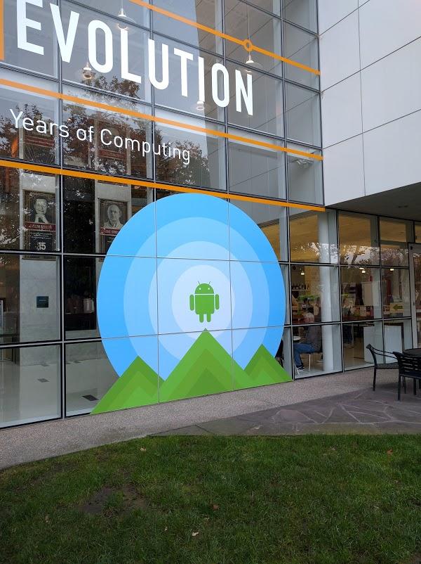 Imagen 39 Centro Cultural Sara Montiel foto