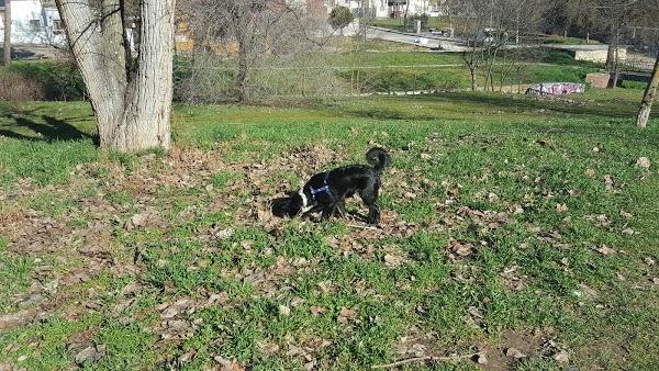 Imagen 75 Centro Cultural Sara Montiel foto