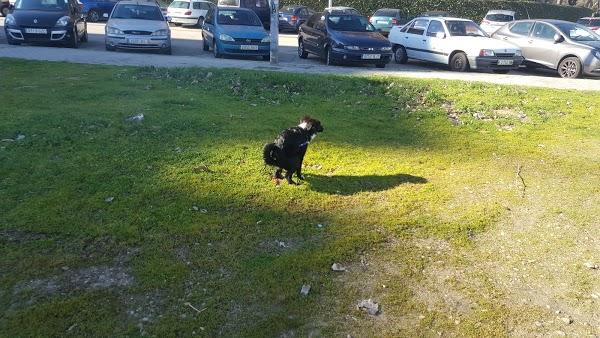 Imagen 79 Centro Cultural Sara Montiel foto