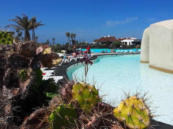 Imagen 35 Lago Martiánez foto