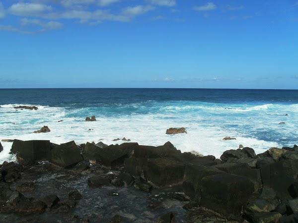 Imagen 66 Lago Martiánez foto