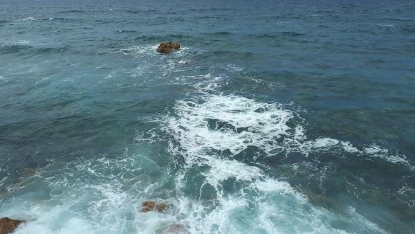 Imagen 75 Lago Martiánez foto