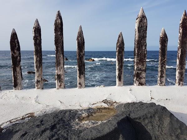 Imagen 78 Lago Martiánez foto