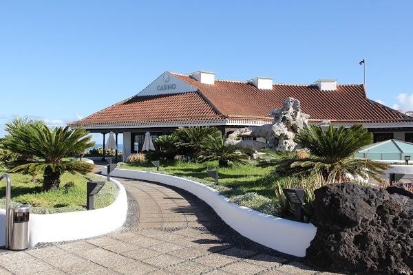 Imagen 79 Lago Martiánez foto