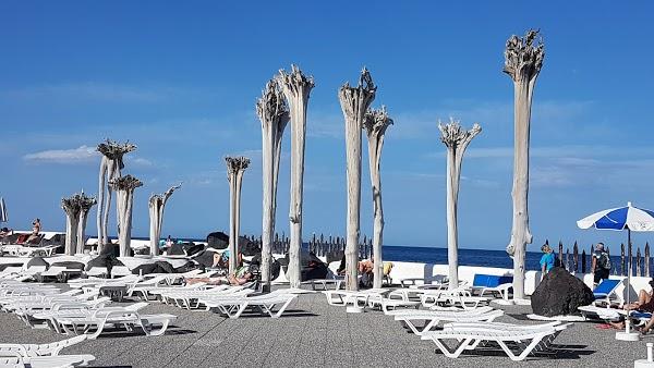 Imagen 94 Lago Martiánez foto