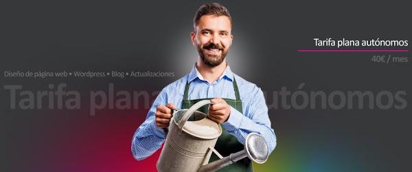 Imagen 107 Décimoarte Diseño web y SEO foto