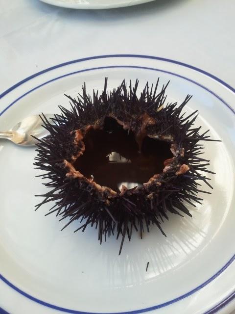 Imagen 66 IT ALONSOTEGI Zerbait Inedit foto