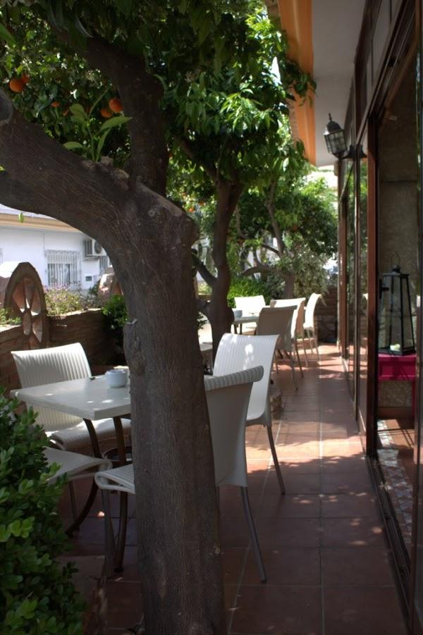 Imagen 15 CORTINAS DE ACERO Y PERFILES MAC foto