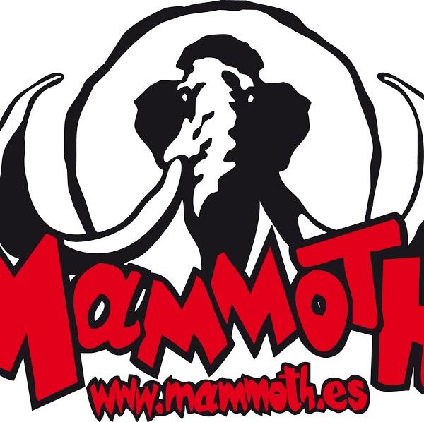 Imagen 103 Mammoth Mountain Bikes S.L. foto