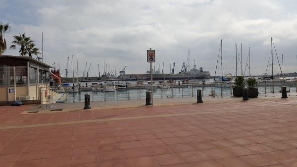 Imagen 33 Opal foto