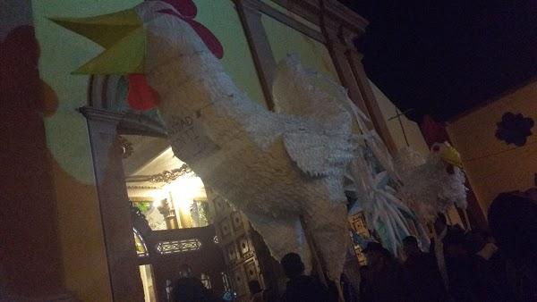 Imagen 36 EDprox Internet Solutions foto