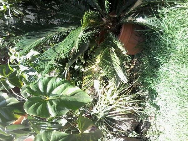 Imagen 52 Hostal Manjón foto