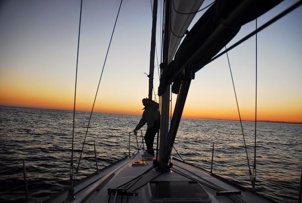 Imagen 17 Restaurante Café de Checa foto