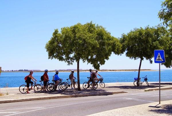 Imagen 22 Restaurante Café de Checa foto