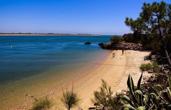 Imagen 24 Restaurante Café de Checa foto