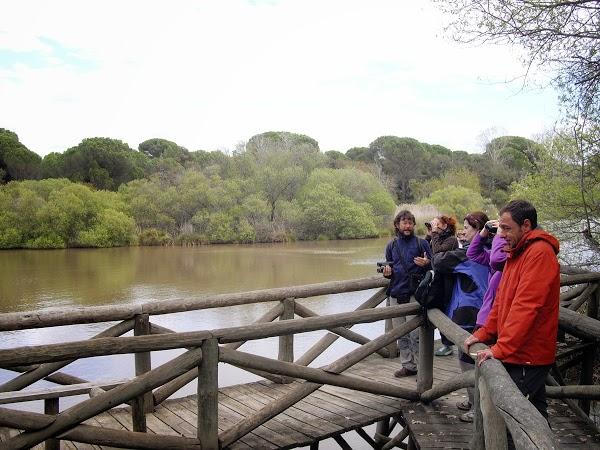 Imagen 28 Restaurante Café de Checa foto