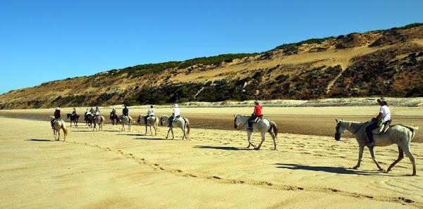 Imagen 30 Restaurante Café de Checa foto