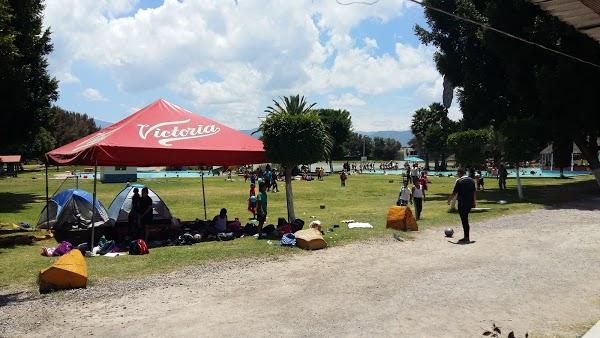 Imagen 31 Restaurante Café de Checa foto