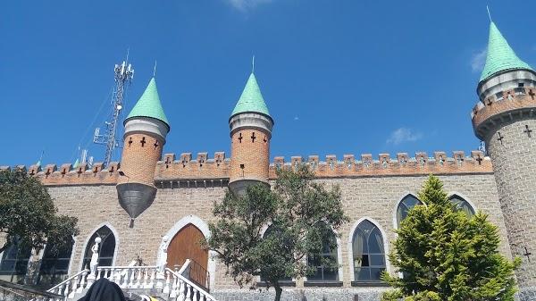 Imagen 101 Castillo Irlandés de Longford foto