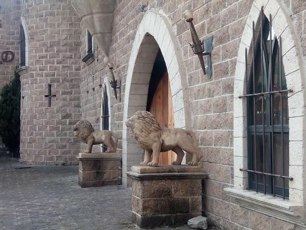 Imagen 97 Castillo Irlandés de Longford foto
