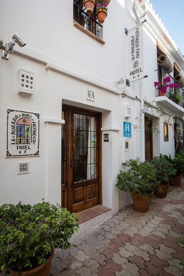 Imagen 2 Yellow Petal foto