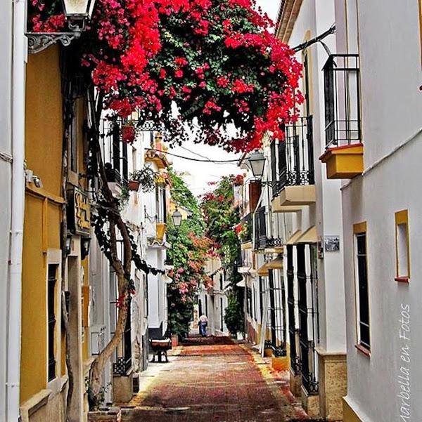 Imagen 75 Hotel Boutique con encanto en Marbella Puerta de Aduares foto