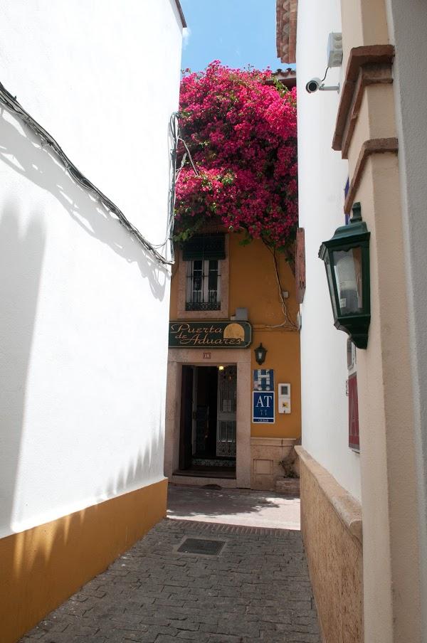 Imagen 77 Hotel Boutique con encanto en Marbella Puerta de Aduares foto