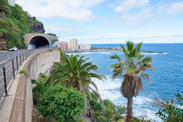 Imagen 19 Trevet servicios veterinarios foto