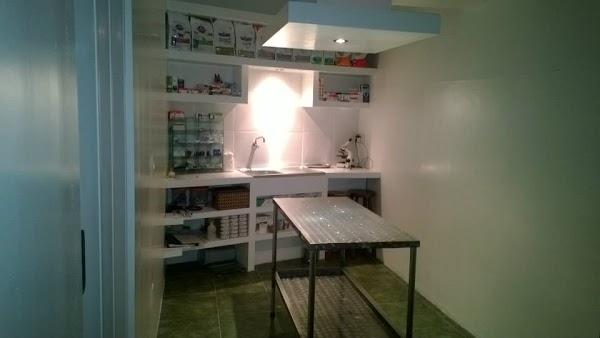 Imagen 21 Trevet servicios veterinarios foto