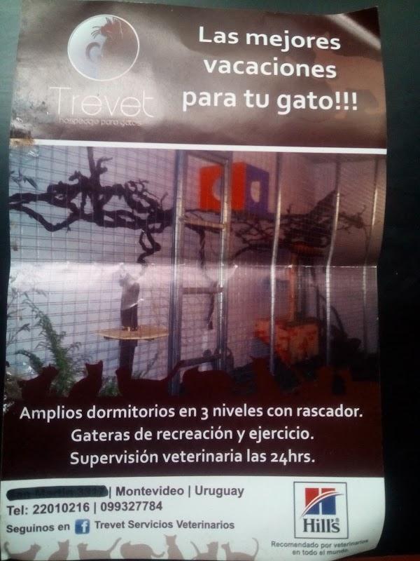 Imagen 40 Trevet servicios veterinarios foto